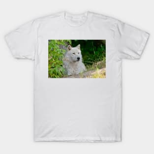 Arctic Wolf T-Shirt